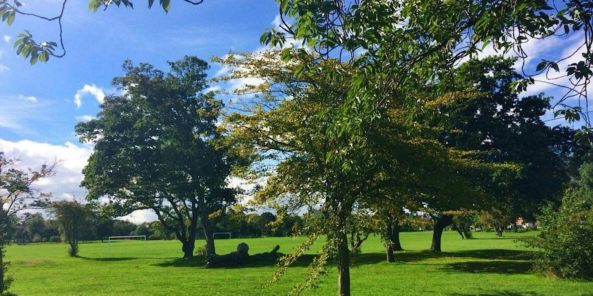 Healing Hedgerows