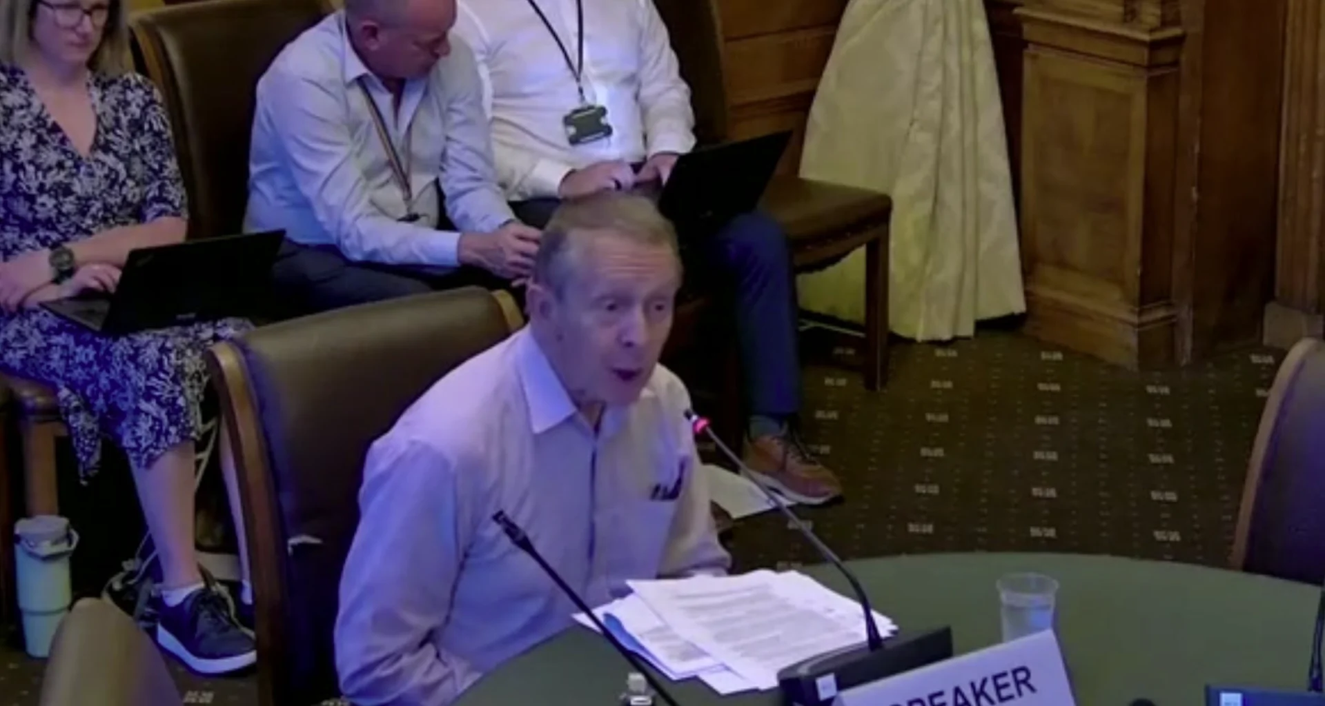 Friends of Tooting Common representative speaking at Wandsworth Council cabinet meeting