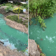 A spill into a brook in Wimbledon has alarmed locals