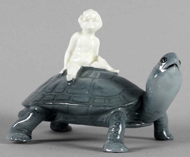Boy on tortoise find
