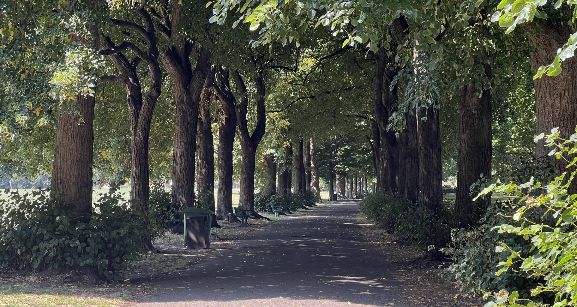 Wandsworth Park