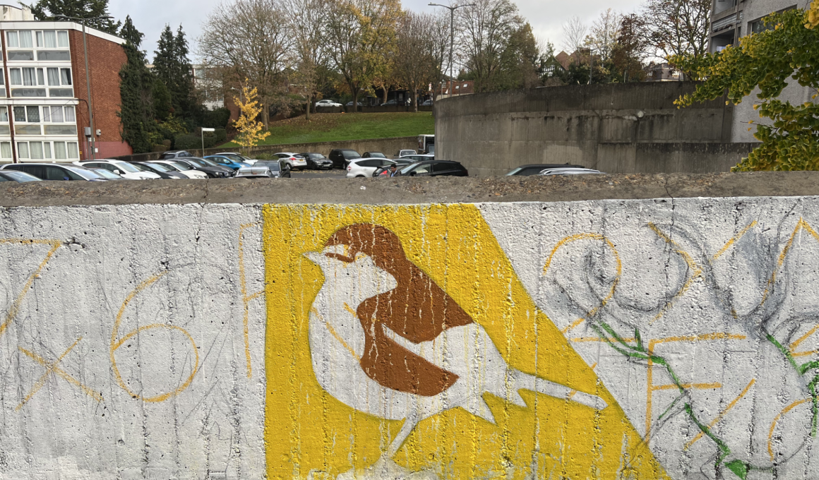Bird on concrete, Roehampton