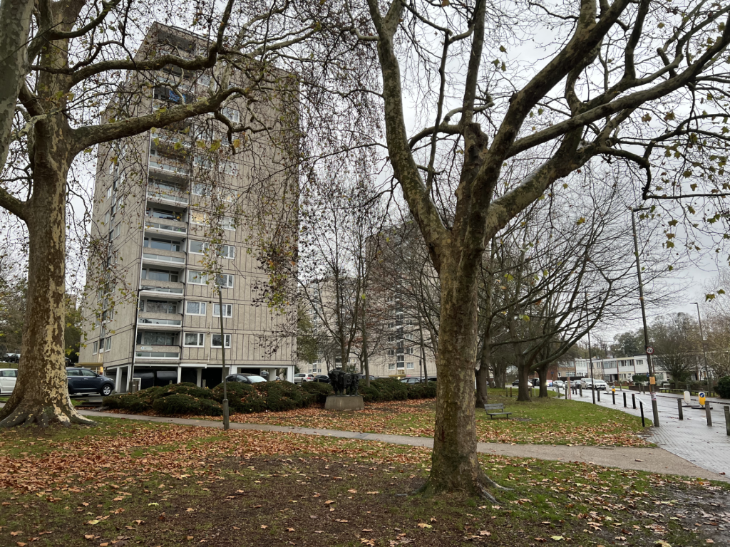 A tower block on the Alton Estate in Roehampton