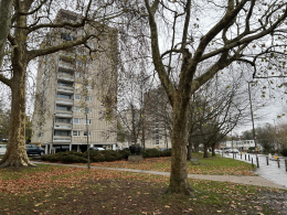 A tower block on the Alton Estate in Roehampton