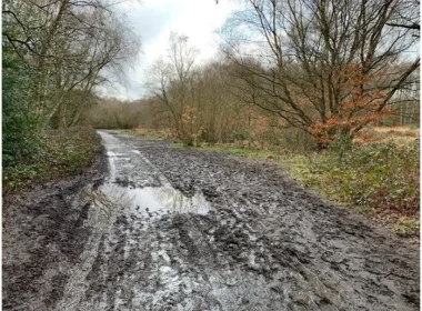 A muddy path on the Putney Commons