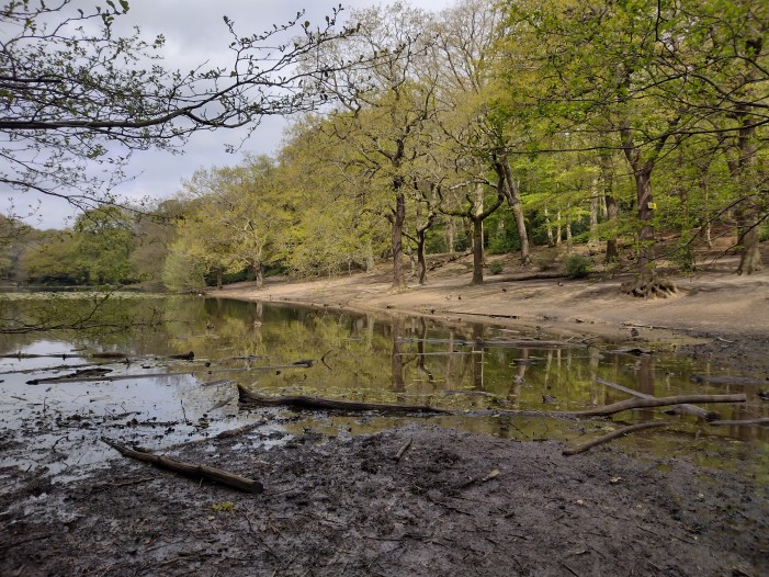 Queensmere Pond - before work started