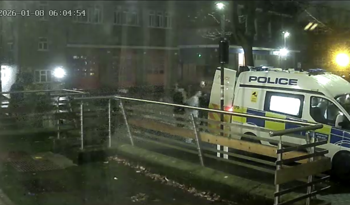 Arrest at Fownes Street - January 2026