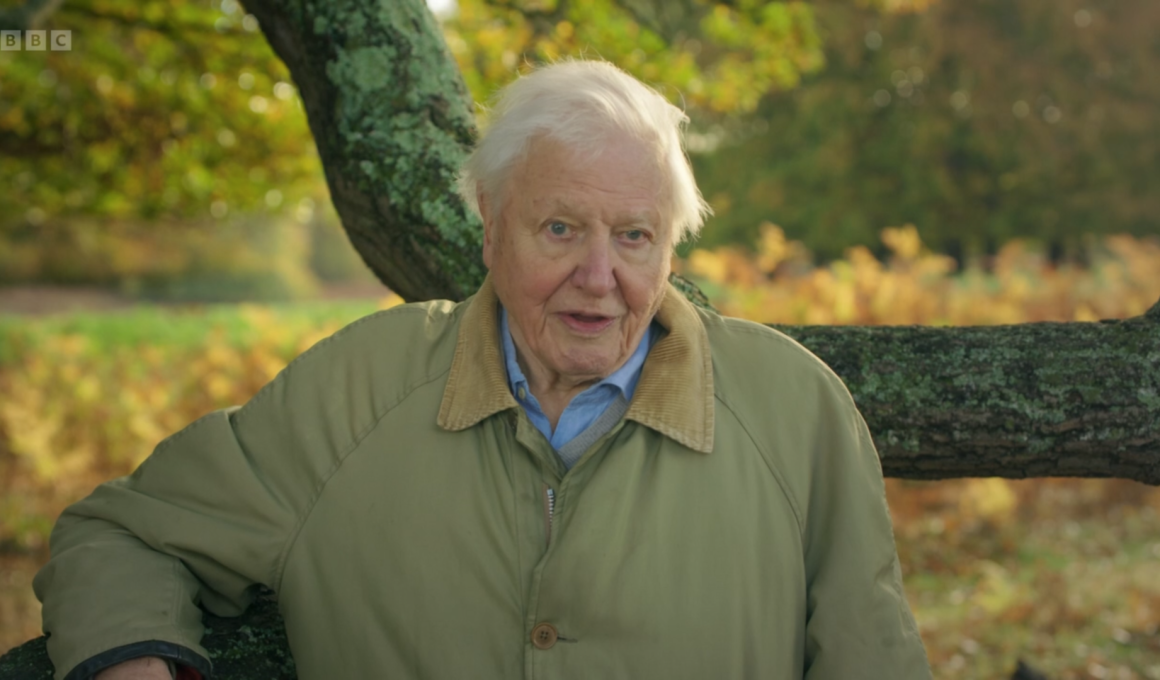 Richard Attenborough in Richmond Park. Pic: BBC