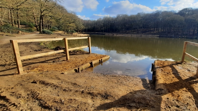 Dog entry to the refreshed pond