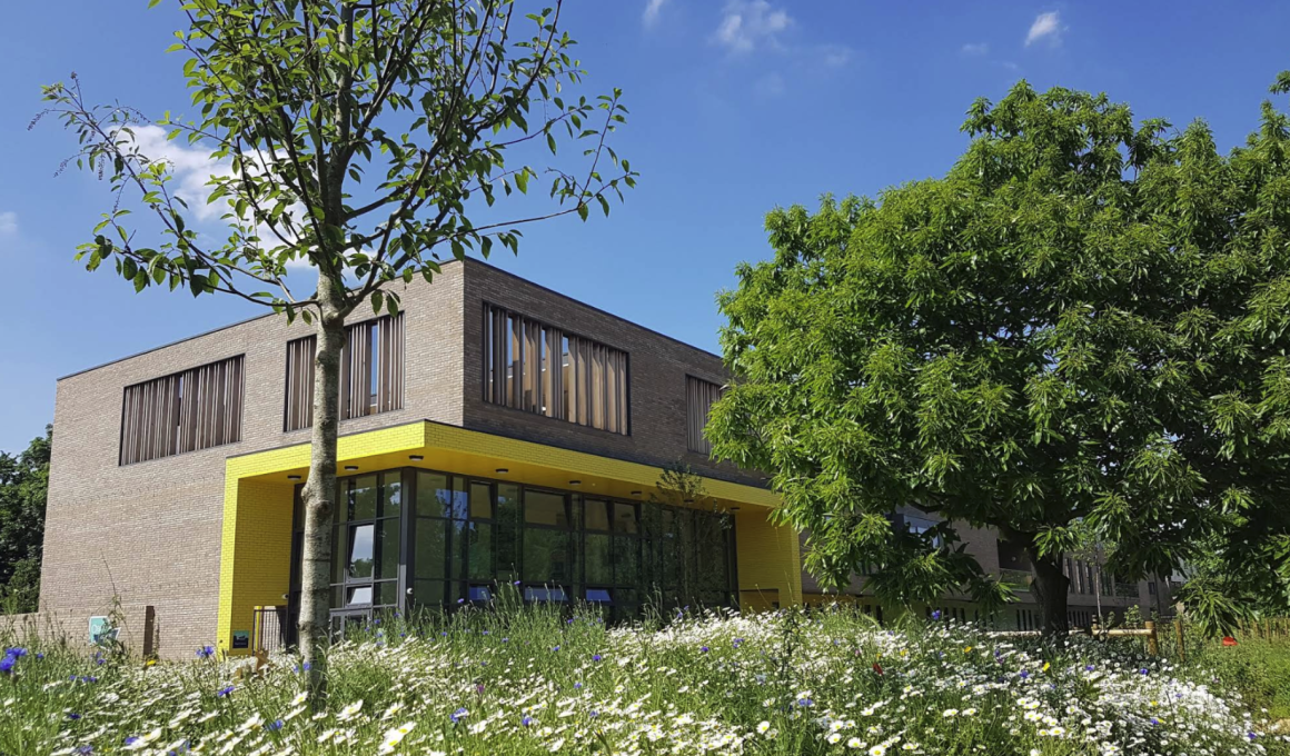 Oasis Academy Putney. Pic: Simon Nicklinson