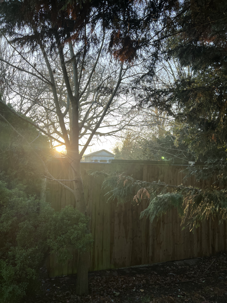 The Doric Temple peeking out