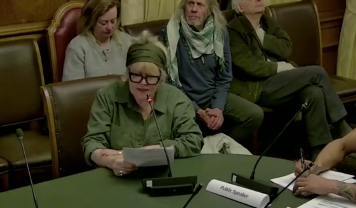A Union rep makes a speech at the Joint Pensions Committee