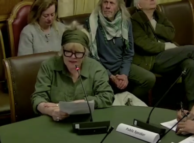 A Union rep makes a speech at the Joint Pensions Committee