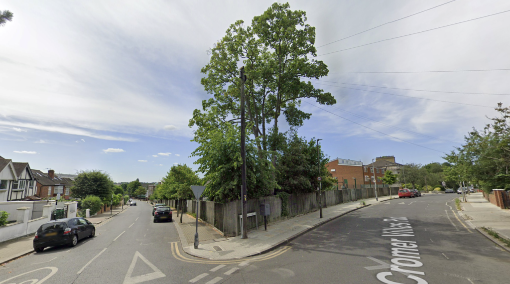 The Southfields Sycamore