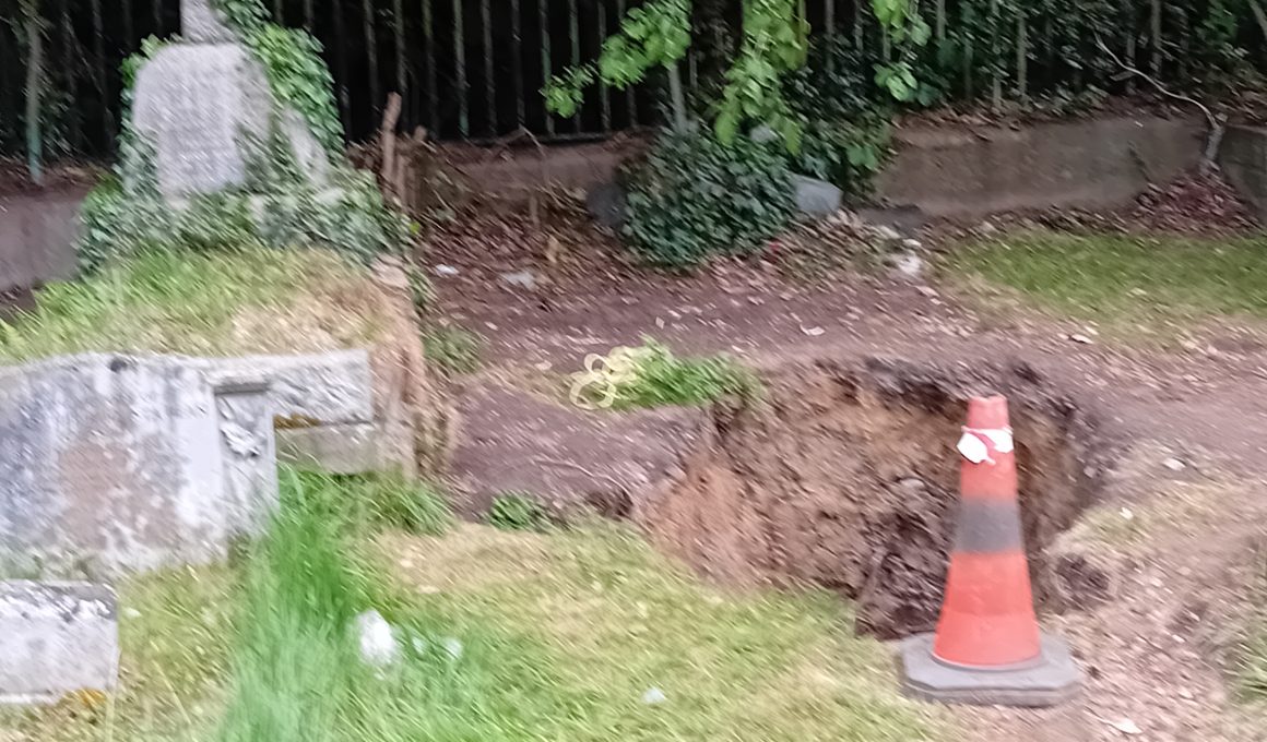 Blurry outdoor scene with ivy-covered stone structure on the left, a metal fence behind, dirt path, and an orange traffic cone in the foreground.