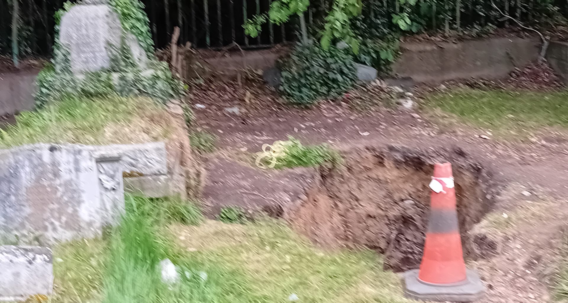 Blurry outdoor scene with ivy-covered stone structure on the left, a metal fence behind, dirt path, and an orange traffic cone in the foreground.