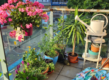 Wandsworth in Bloom 2025 Winner for Best Balcony or Container Garden