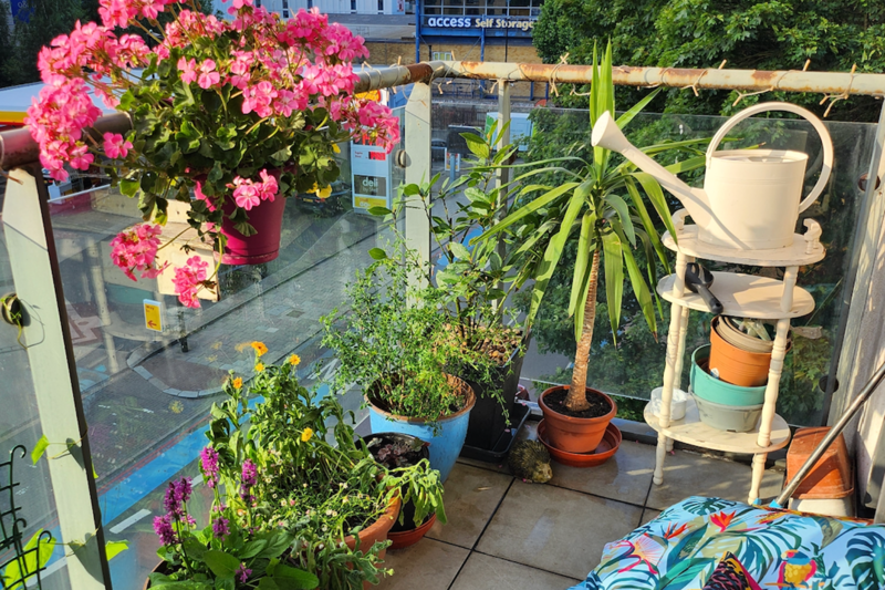 Wandsworth in Bloom 2025 Winner for Best Balcony or Container Garden