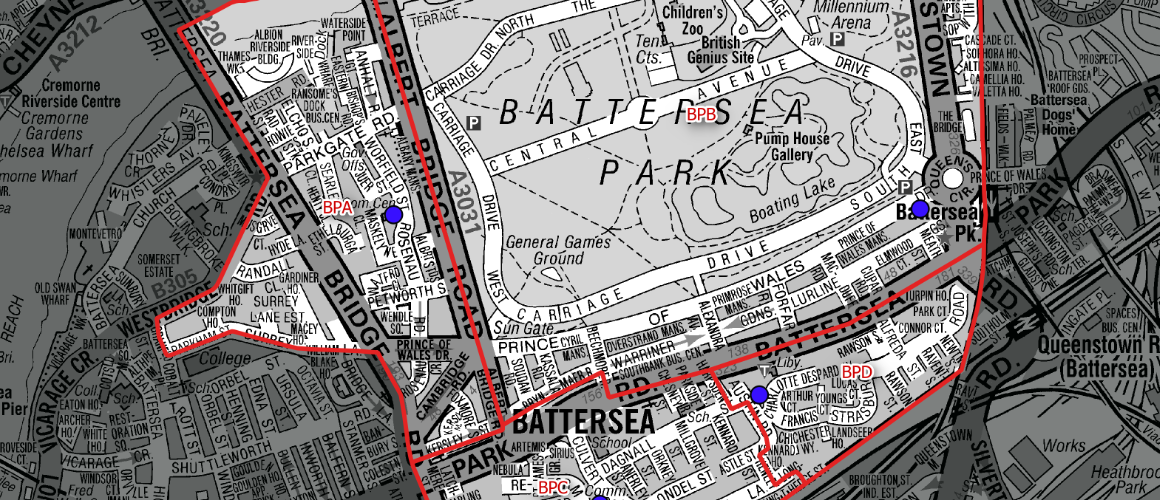 Detailed map showing Battersea area with Battersea Park, surrounding roads, and red boundary lines; blue map markers indicate points of interest.