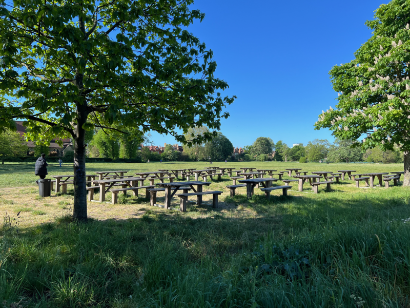 Putney Common - an example of how land has been preserved and is used for the benefit of all.