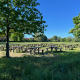 Putney Common - an example of how land has been preserved and is used for the benefit of all.
