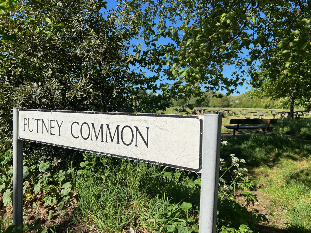 Sign for Putney Common obscured by green trees, with picnic benches in the background on a sunny day.