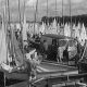 Busy marina with numerous sailboats and tall masts; people walk along the dock near a van.
