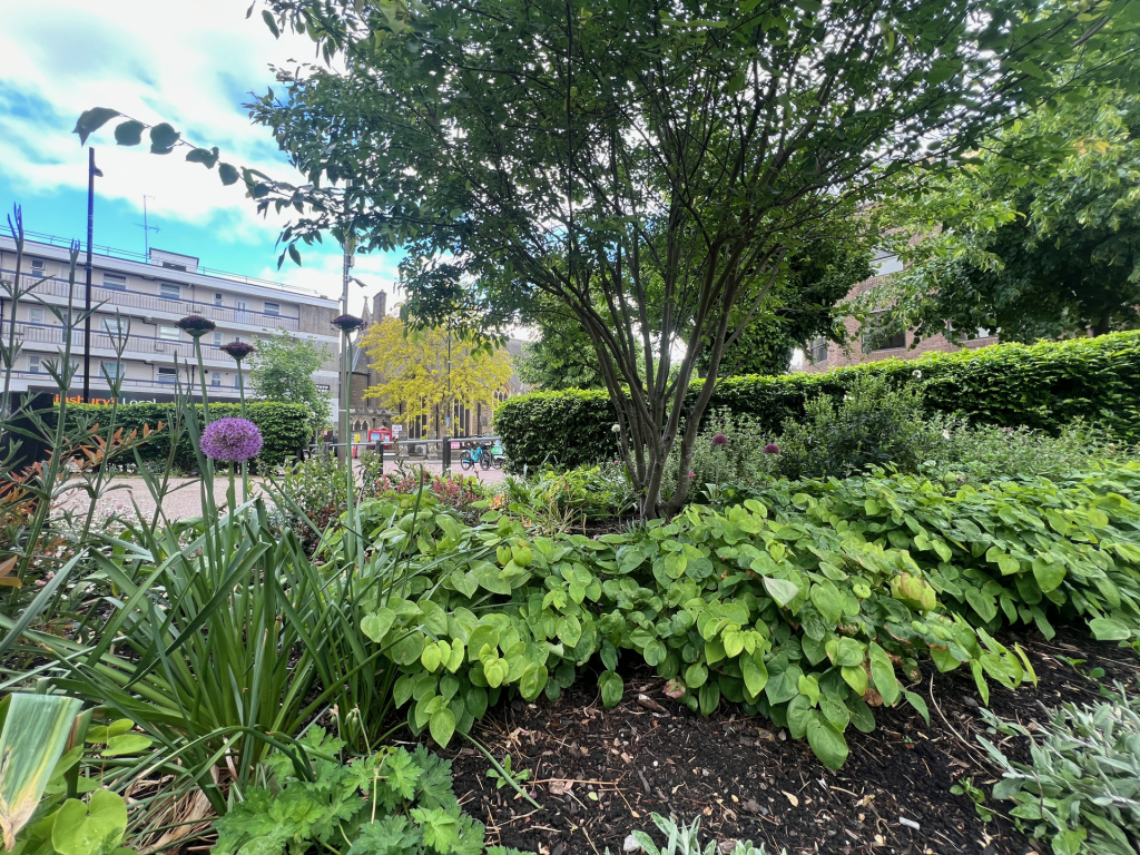 Putney parklet: a thriving garden created and maintained by the community.