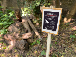 Sign explains a log pile provides habitat for invertebrates, plants and fungi, and asks visitors not to climb or disturb it in a garden setting.