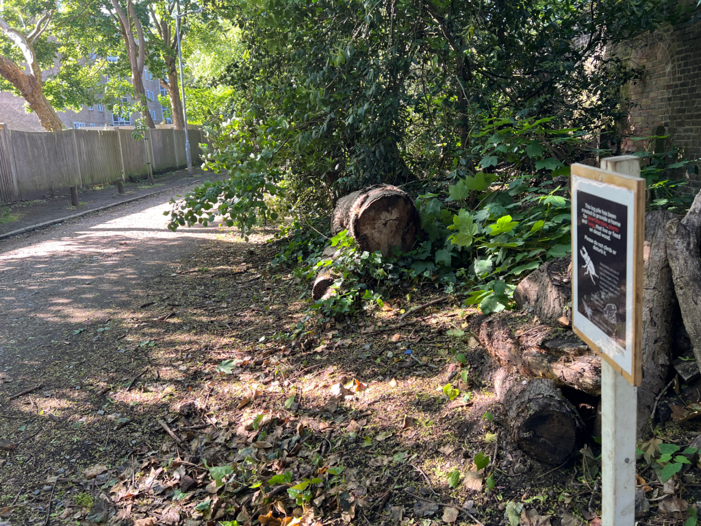 A dirt path in a park bordered by a wooden fence and dense greenery, with a fallen log on the right and a signboard nearby.