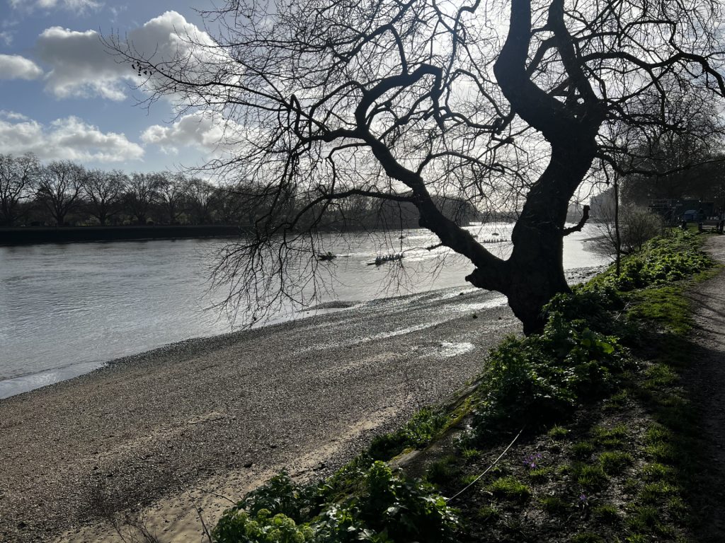 The Thames Path in April