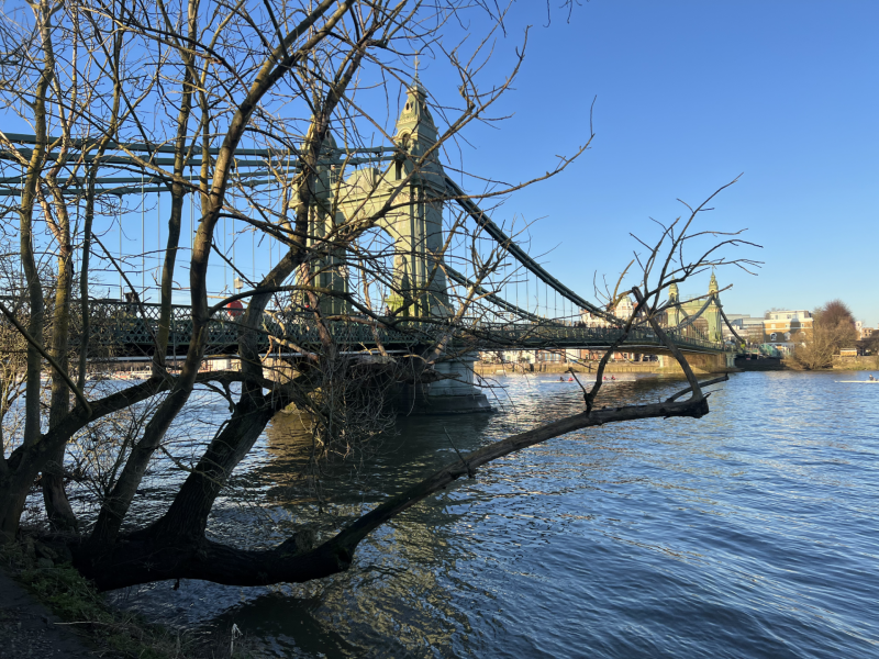 Bridge over a calm river seen through leafless tree branches on a sunny day, with twin towers in the distance under a blue sky.