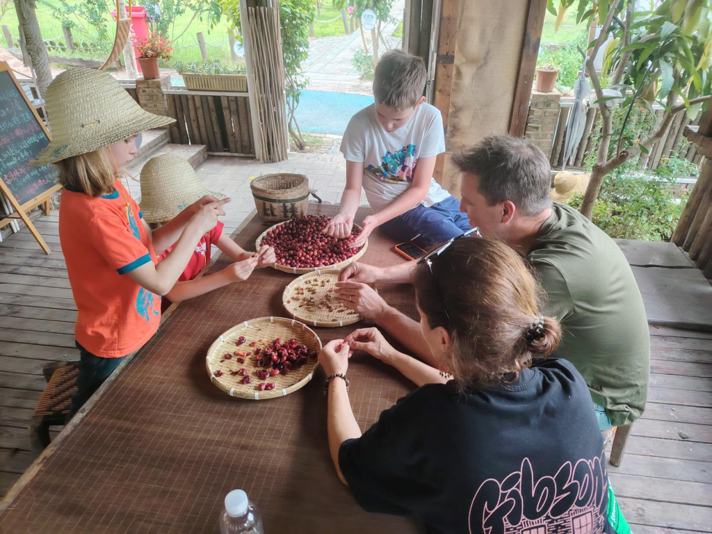 Group of five people around a wooden table outdoors, sorting and pitting cherries into baskets with straw hats nearby.