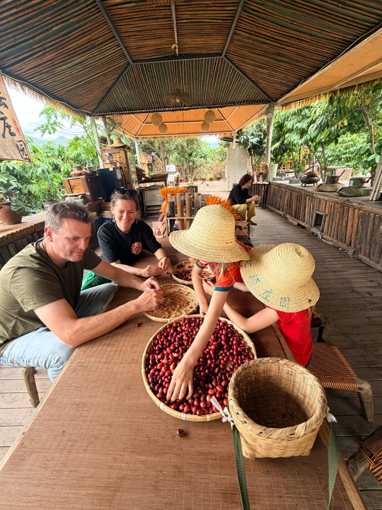 Adults and two children in straw hats sort cherries at a wooden table under a thatched roof in an open-air market space.