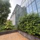 Glass-fronted modern building next to a lush garden with bushes and trees, brick planter along the path.