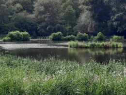 Queenmere Pond. Pic: WPCC