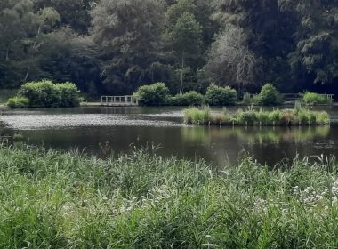 Queenmere Pond. Pic: WPCC