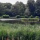 Queenmere Pond. Pic: WPCC