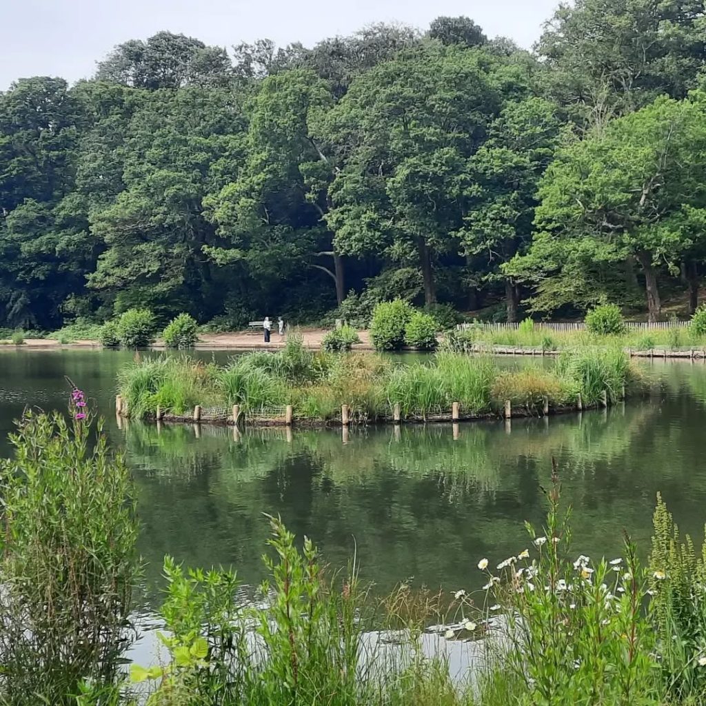 Queenmere Pond. Pic: WPCC