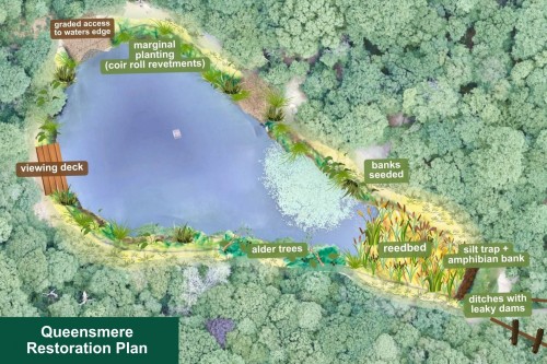 Queenmere Pond restoration plan. Pic: WPCC
