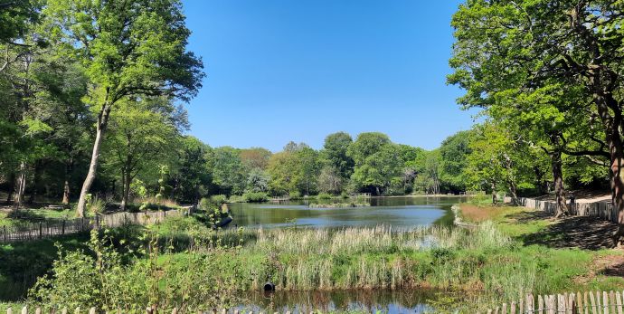Queenmere Pond. Pic: WPCC