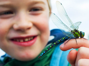 Boy with dragonfly