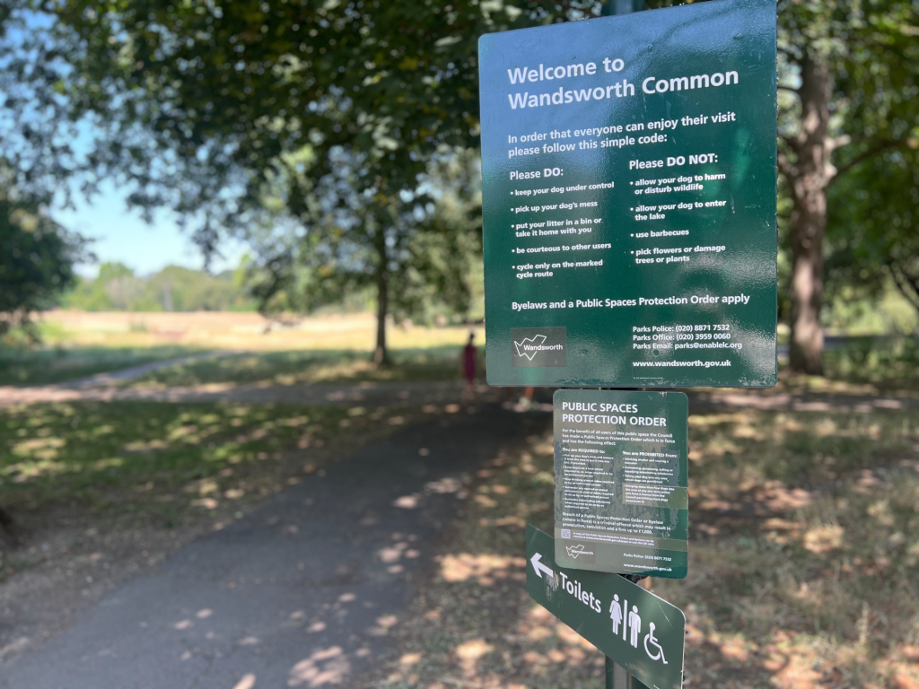 Wandsworth Common