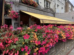 Prince of Wales in bloom
