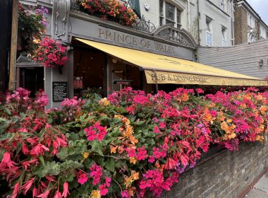 Prince of Wales in bloom