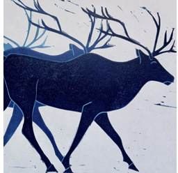 Work shown in the leaflet by Alice Morgan
