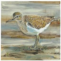 Work shown in the leaflet by Sarah Donlan
