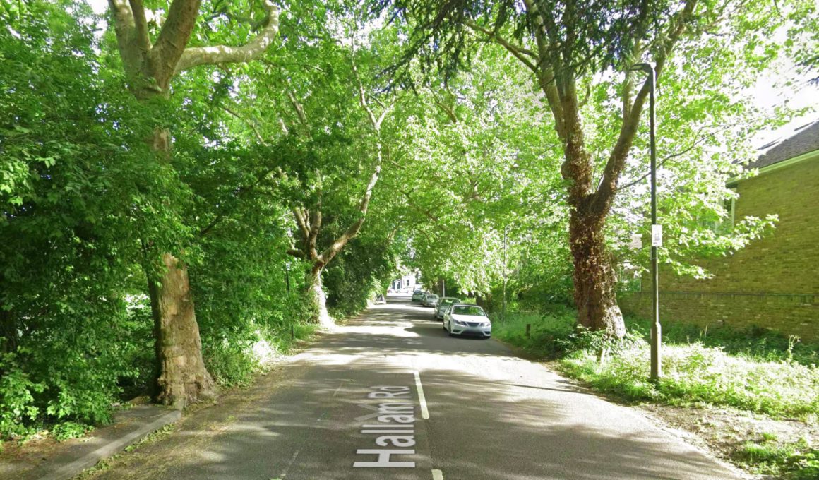 Hallam Road in Putney, a narrow road lined on both sides by tall trees whose branches meet overhead, with cars parked along one side and a brick building on the right.