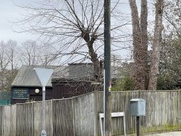 Southfields Lawn Tennis Club's dark timber clubhouse behind a wooden fence on the corner of Gressenhall Road and Cromer Villas Road, with tall trees above it